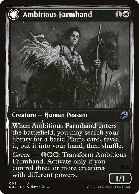 Ambitious Farmhand • Seasoned Cathar