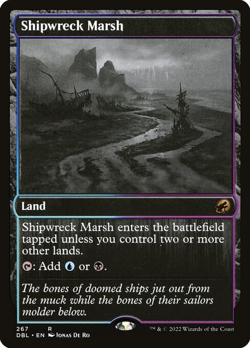 Shipwreck Marsh