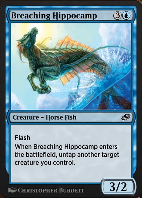 Breaching Hippocamp