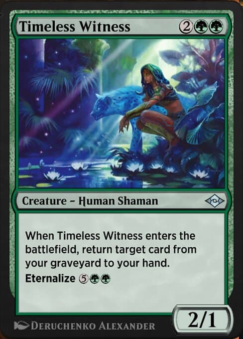 Timeless Witness