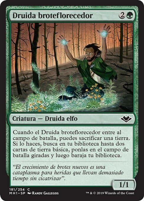 Springbloom Druid