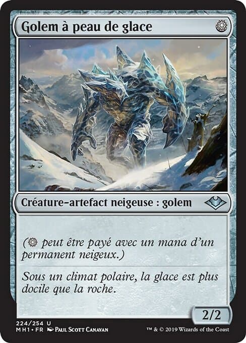 Icehide Golem