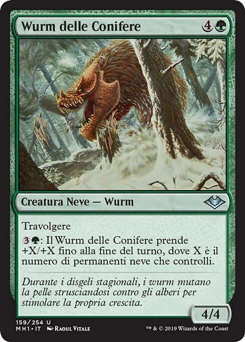 Conifer Wurm