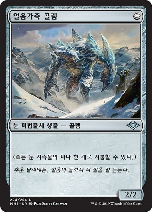 Icehide Golem