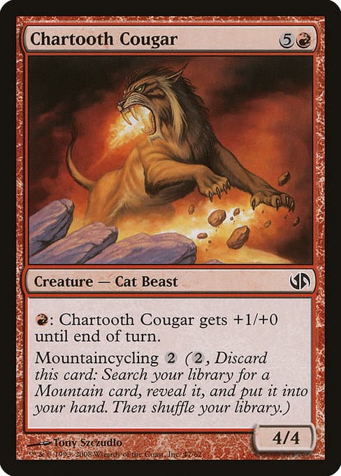 Chartooth Cougar