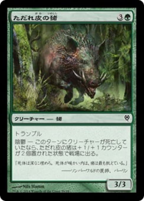 Festerhide Boar