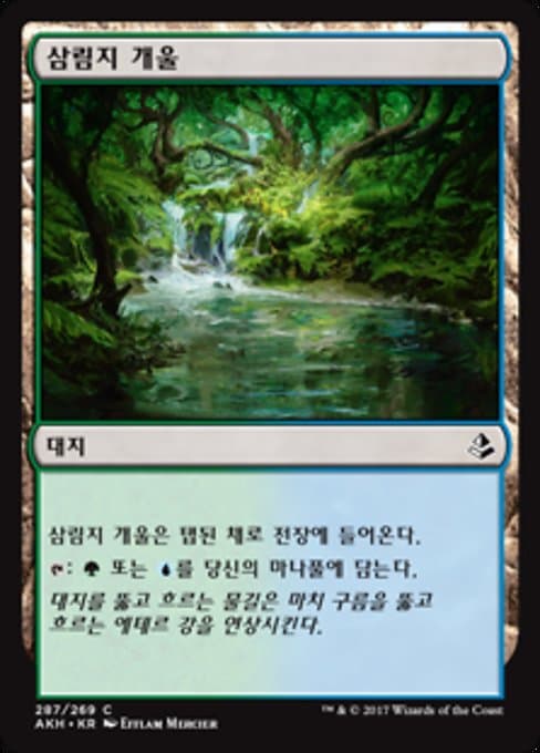 Woodland Stream