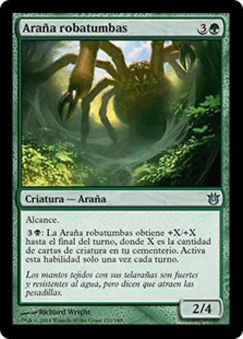 Graverobber Spider