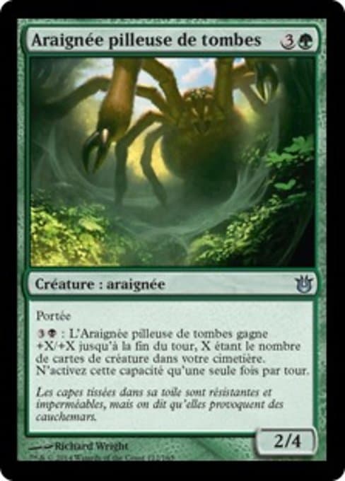 Graverobber Spider