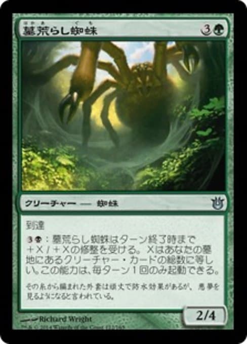 Graverobber Spider