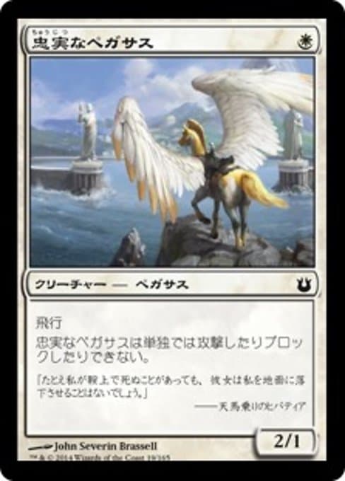 Loyal Pegasus