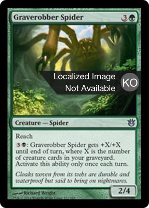 Graverobber Spider