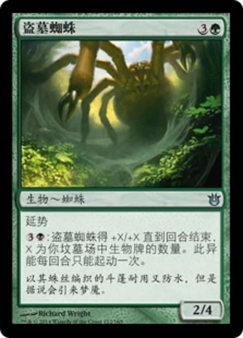 Graverobber Spider