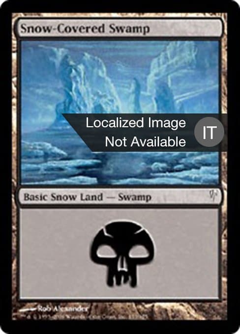 Snow-Covered Swamp