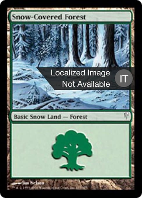 Snow-Covered Forest