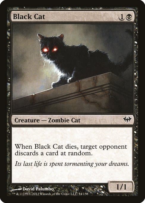 Black Cat