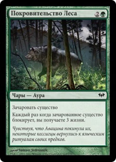 Favor of the Woods