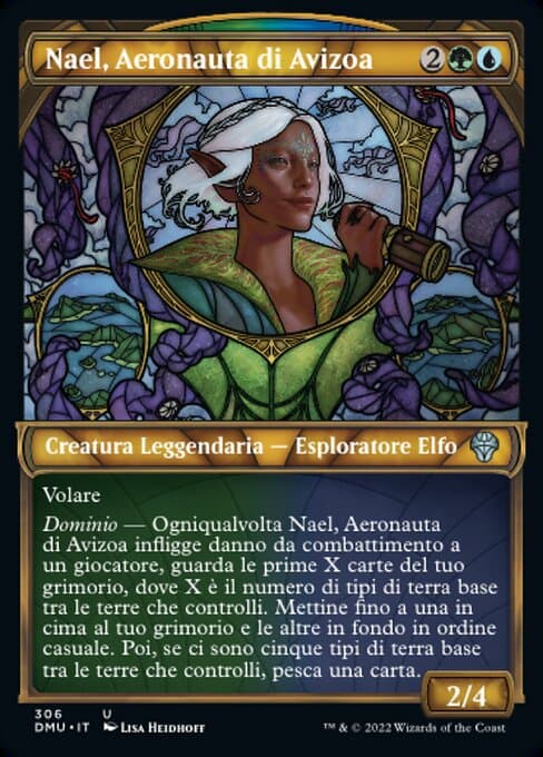 Nael, Avizoa Aeronaut