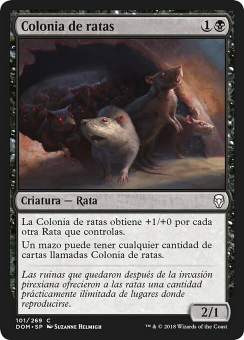 Rat Colony