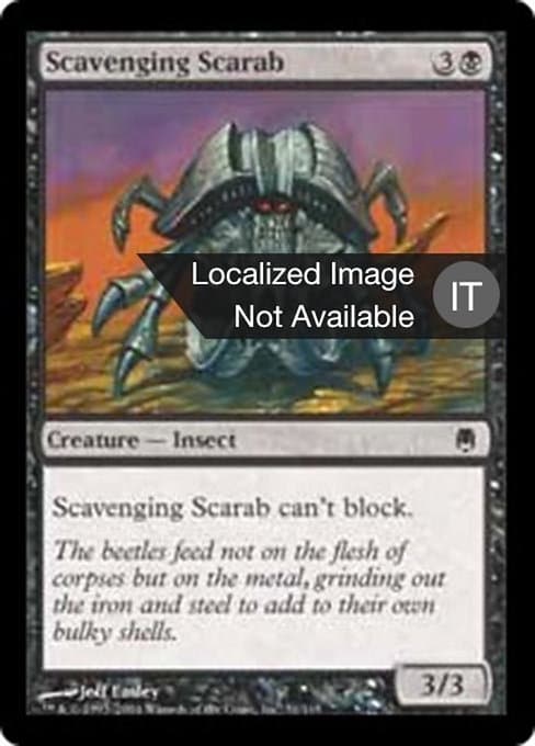 Scavenging Scarab