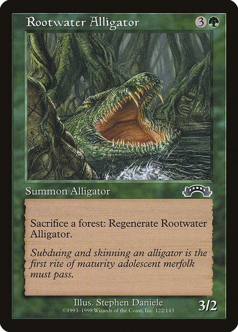 Rootwater Alligator