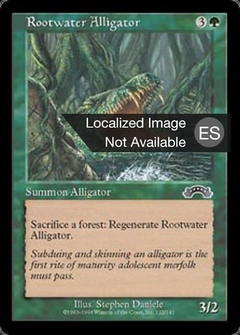 Rootwater Alligator