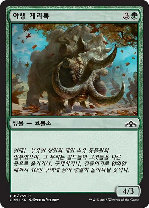 Wild Ceratok