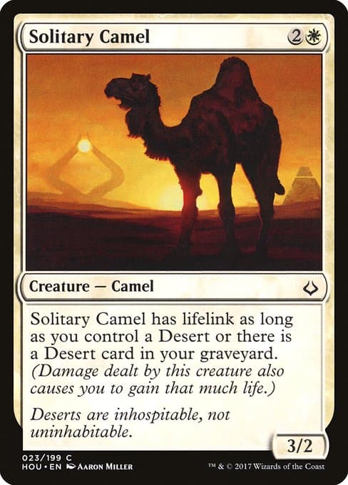 Solitary Camel