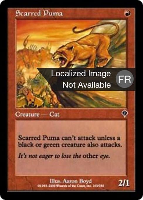 Scarred Puma