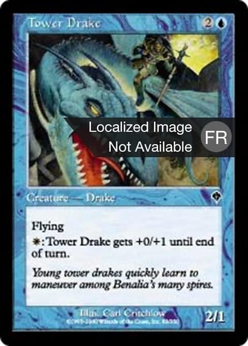 Tower Drake