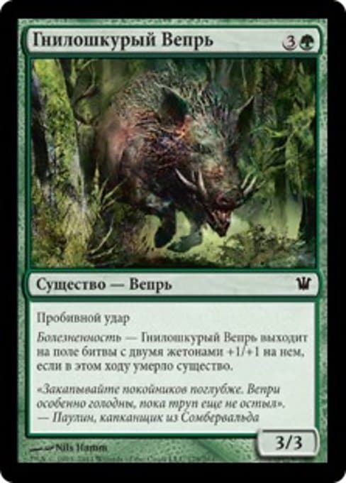 Festerhide Boar