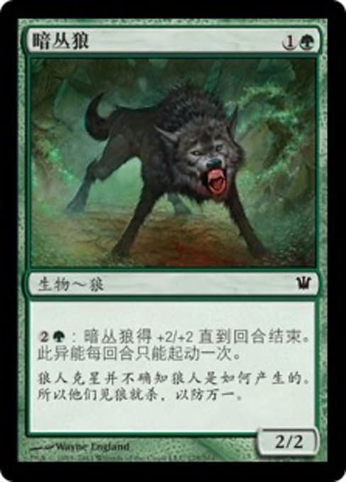 Darkthicket Wolf