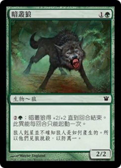 Darkthicket Wolf