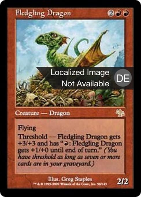 Fledgling Dragon