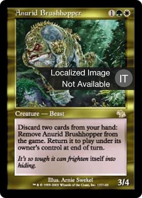 Anurid Brushhopper