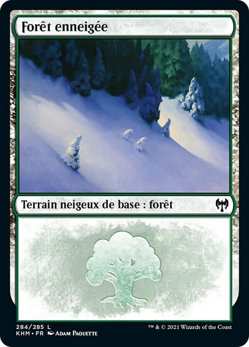 Snow-Covered Forest