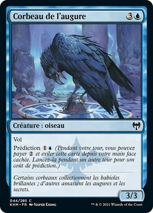 Augury Raven