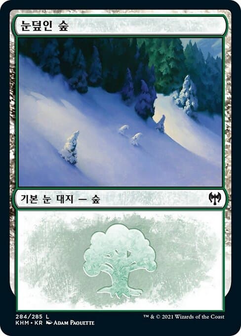 Snow-Covered Forest