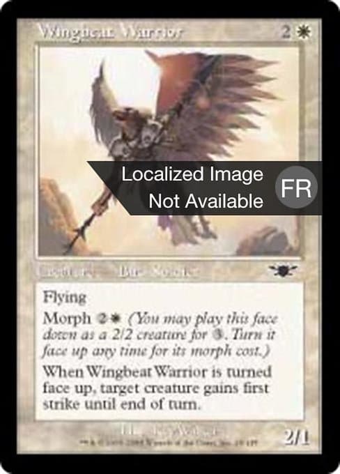 Wingbeat Warrior