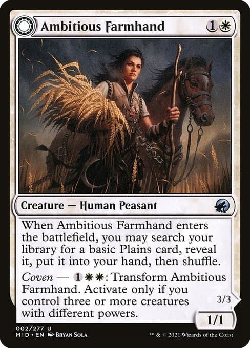 Ambitious Farmhand • Seasoned Cathar