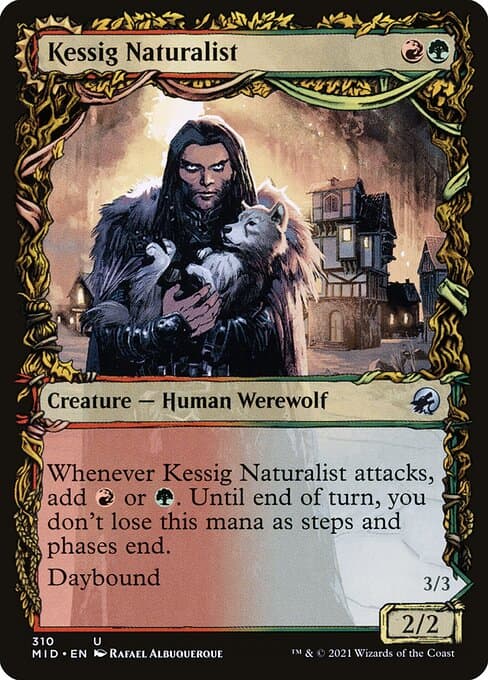 Kessig Naturalist • Lord of the Ulvenwald