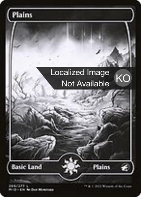 Plains