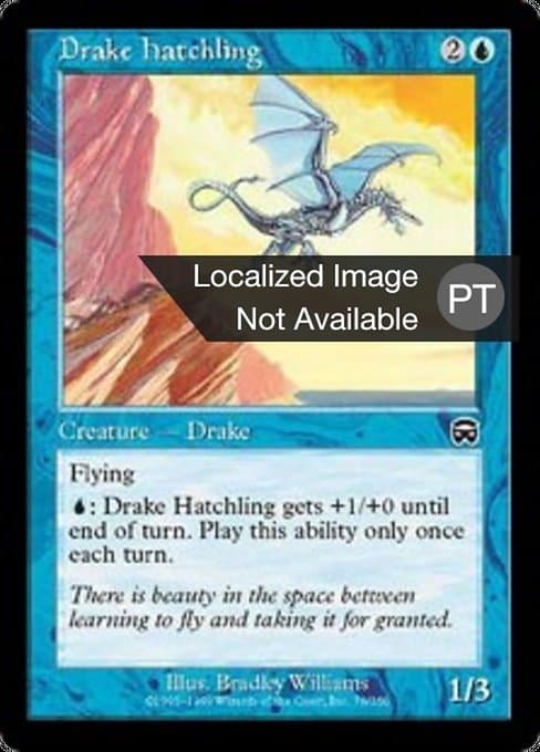 Drake Hatchling