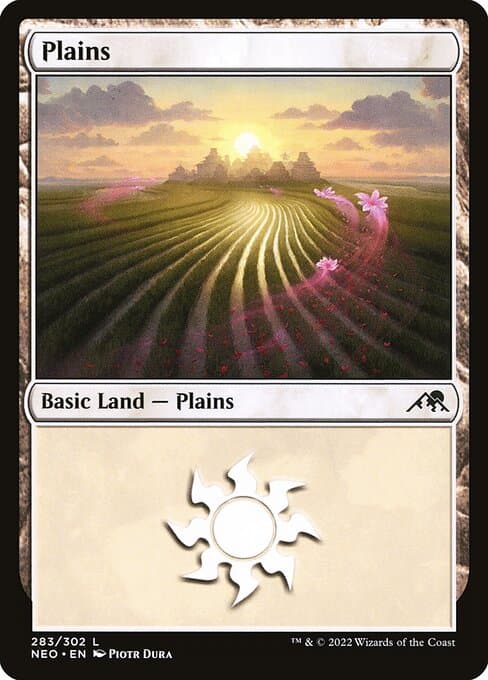 Plains