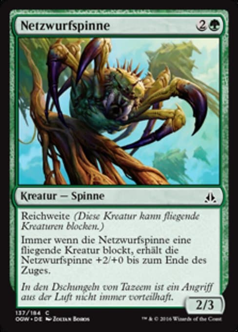 Netcaster Spider