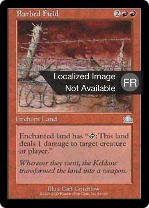 Barbed Field