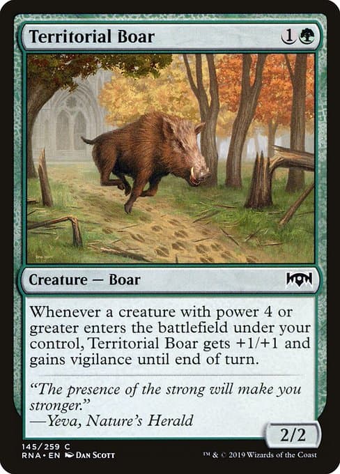 Territorial Boar