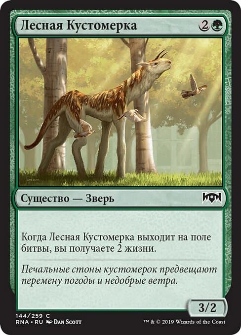 Sylvan Brushstrider