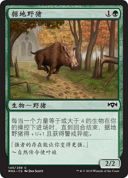 Territorial Boar