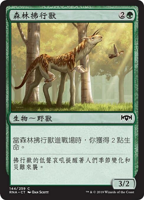 Sylvan Brushstrider